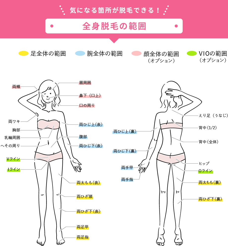 気になる箇所が脱毛できる！全身脱毛の範囲