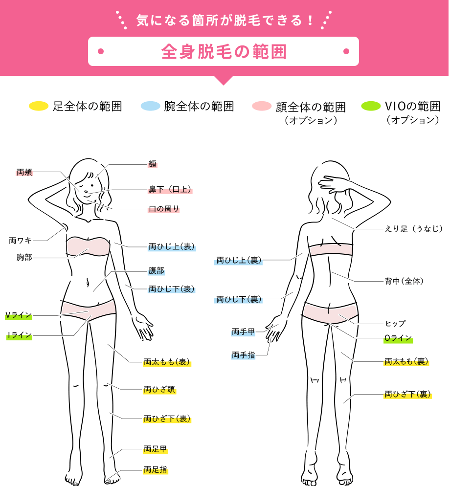 気になる箇所が脱毛できる！全身脱毛の範囲